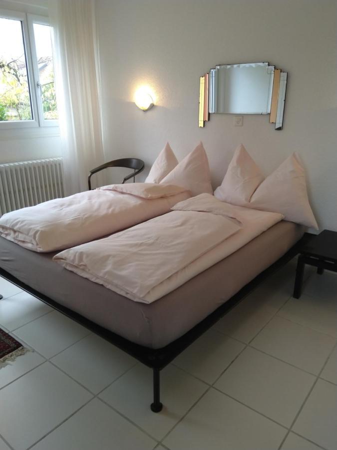 Bed and Breakfast Swiss Borzoi House Vully-les-Lacs Exteriér fotografie