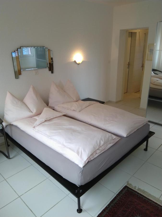 Bed and Breakfast Swiss Borzoi House Vully-les-Lacs Exteriér fotografie
