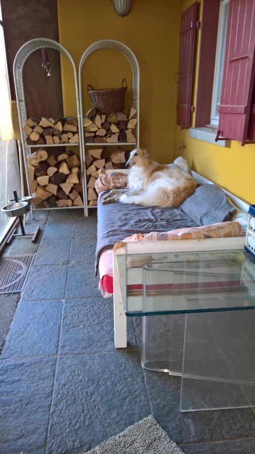 Bed and Breakfast Swiss Borzoi House Vully-les-Lacs Exteriér fotografie