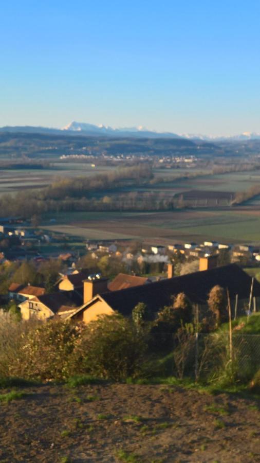 Bed and Breakfast Swiss Borzoi House Vully-les-Lacs Exteriér fotografie