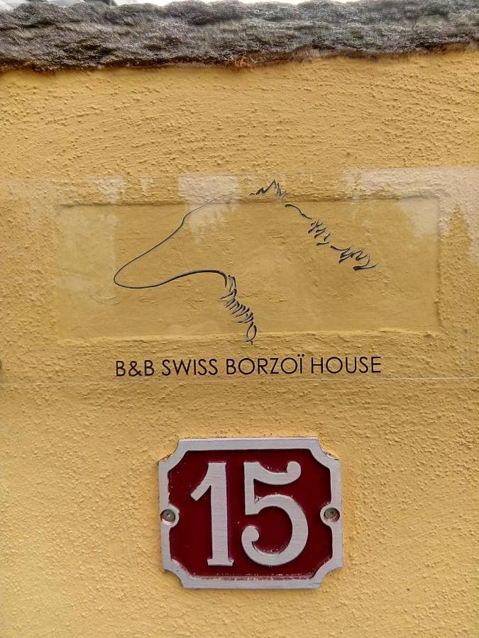 Bed and Breakfast Swiss Borzoi House Vully-les-Lacs Exteriér fotografie