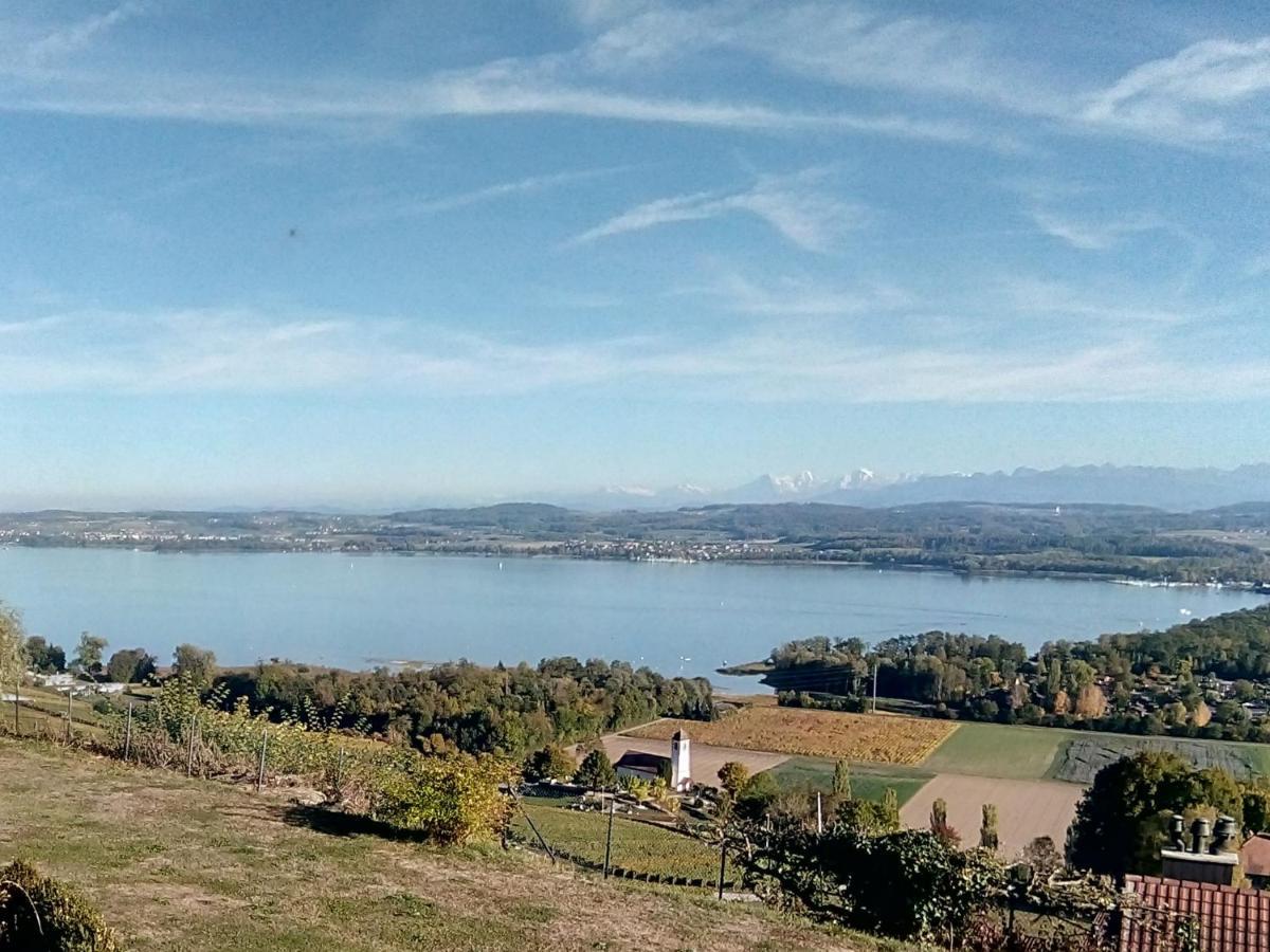 Bed and Breakfast Swiss Borzoi House Vully-les-Lacs Exteriér fotografie