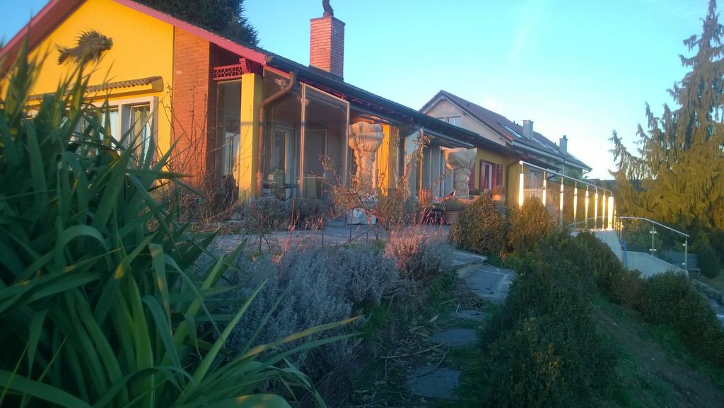Bed and Breakfast Swiss Borzoi House Vully-les-Lacs Pokoj fotografie