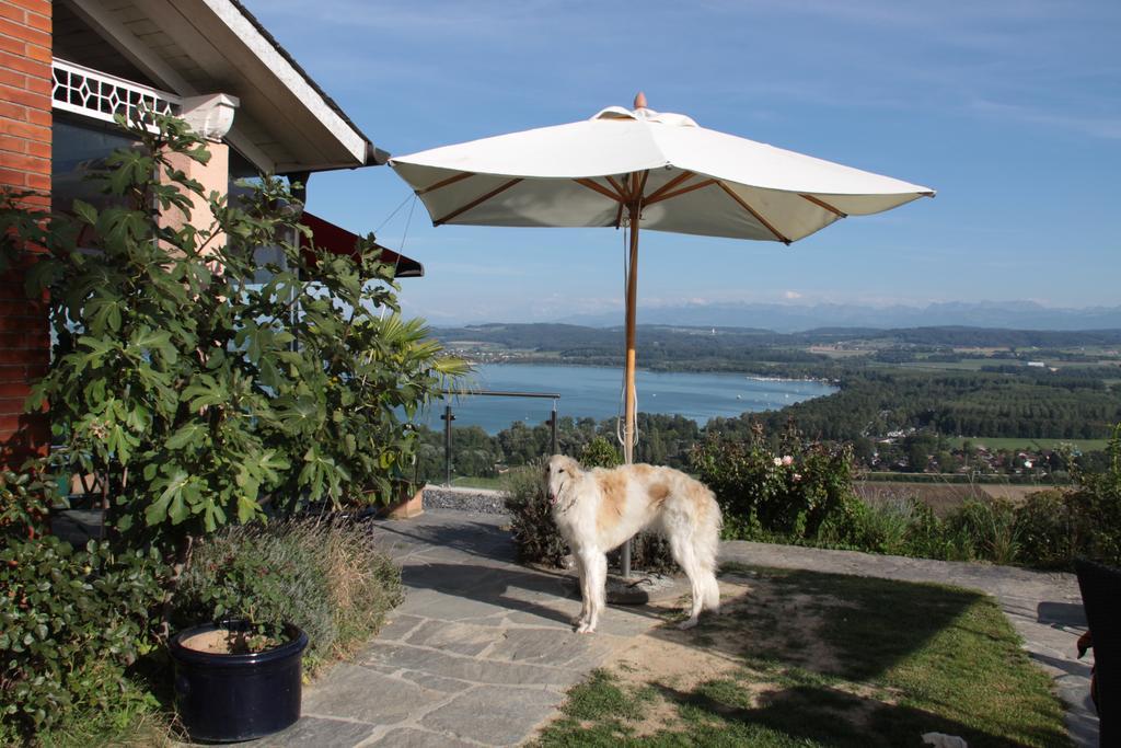 Bed and Breakfast Swiss Borzoi House Vully-les-Lacs Pokoj fotografie