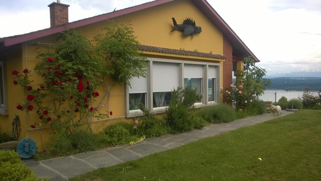 Bed and Breakfast Swiss Borzoi House Vully-les-Lacs Exteriér fotografie