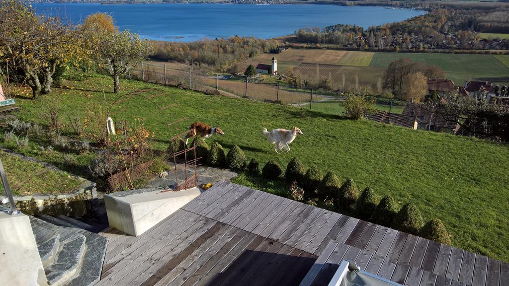 Bed and Breakfast Swiss Borzoi House Vully-les-Lacs Exteriér fotografie