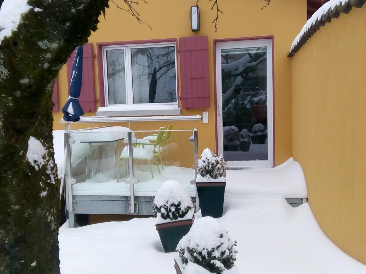 Bed and Breakfast Swiss Borzoi House Vully-les-Lacs Exteriér fotografie