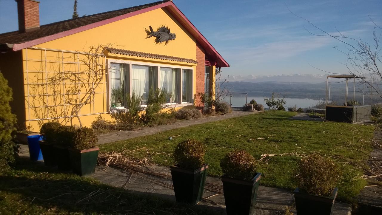 Bed and Breakfast Swiss Borzoi House Vully-les-Lacs Exteriér fotografie